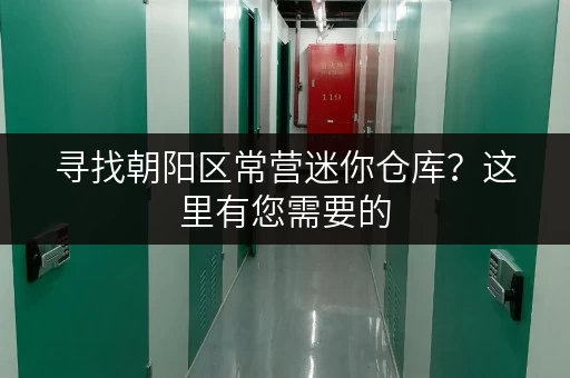 寻找朝阳区常营迷你仓库？这里有您需要的