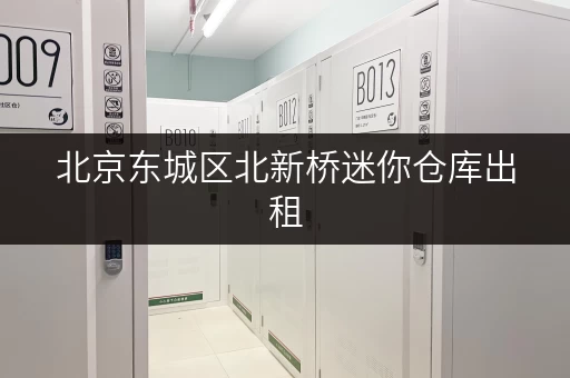 北京东城区北新桥迷你仓库出租，月租日租任你选！