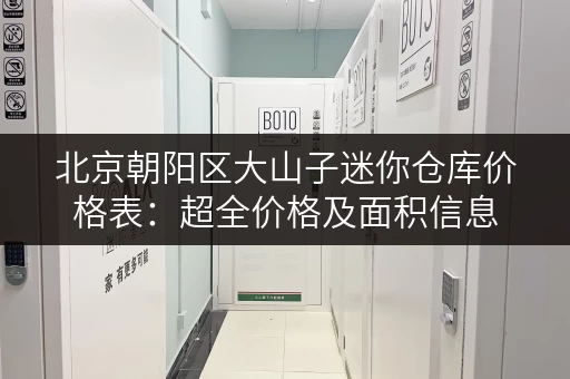 北京朝阳区大山子迷你仓库价格表：超全价格及面积信息