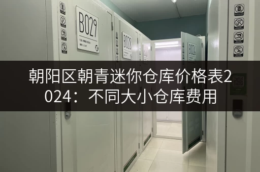 朝阳区朝青迷你仓库价格表2024：不同大小仓库费用