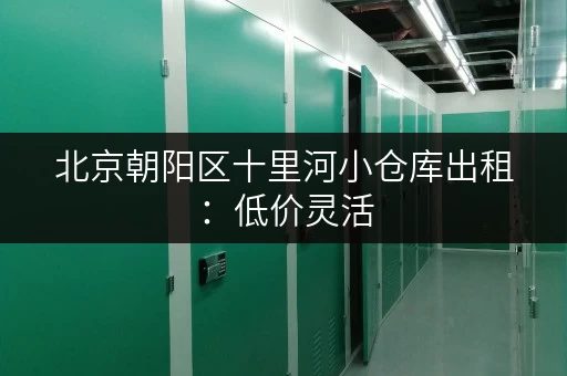 北京朝阳区十里河小仓库出租：低价灵活，满足您的存储需求！