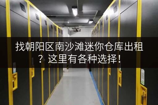 找朝阳区南沙滩迷你仓库出租？这里有各种选择！