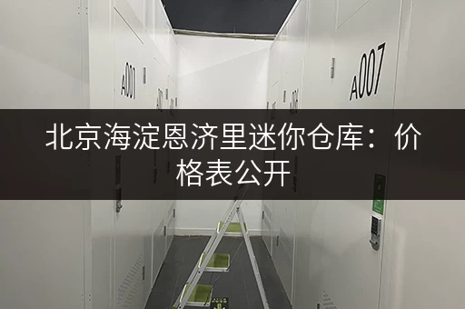 北京海淀恩济里迷你仓库：价格表公开，安全可靠，多种选择！