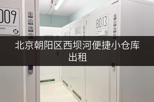 北京朝阳区西坝河便捷小仓库出租，租金超值！