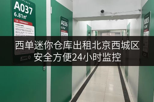 西单迷你仓库出租北京西城区安全方便24小时监控