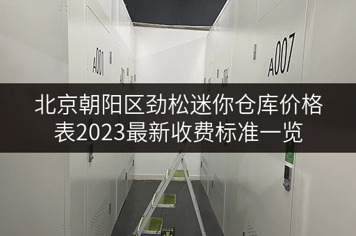 北京朝阳区劲松迷你仓库价格表2023最新收费标准一览