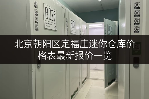 北京朝阳区定福庄迷你仓库价格表最新报价一览