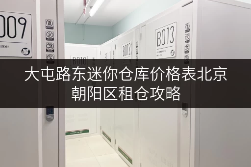 大屯路东迷你仓库价格表北京朝阳区租仓攻略