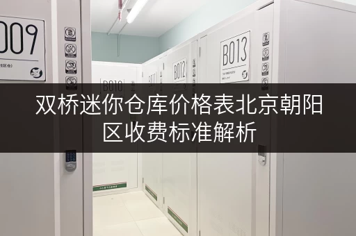 双桥迷你仓库价格表北京朝阳区收费标准解析