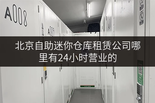 北京自助迷你仓库租赁公司哪里有24小时营业的