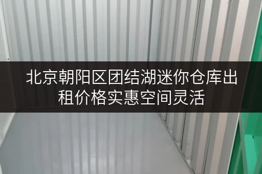 北京朝阳区团结湖迷你仓库出租价格实惠空间灵活