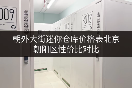 朝外大街迷你仓库价格表北京朝阳区性价比对比