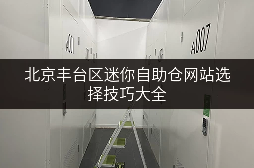 北京丰台区迷你自助仓网站选择技巧大全
