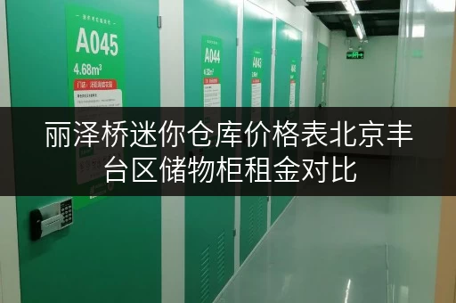 丽泽桥迷你仓库价格表北京丰台区储物柜租金对比