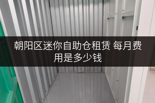 朝阳区迷你自助仓租赁 每月费用是多少钱