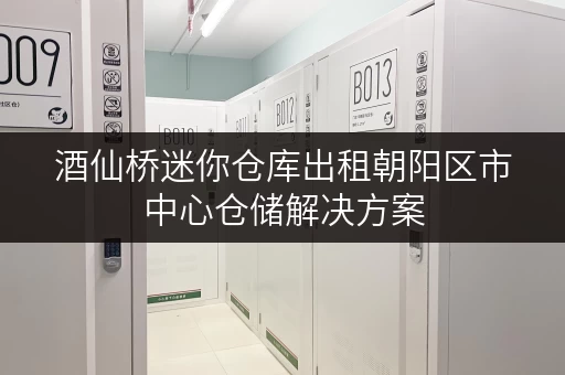 酒仙桥迷你仓库出租朝阳区市中心仓储解决方案