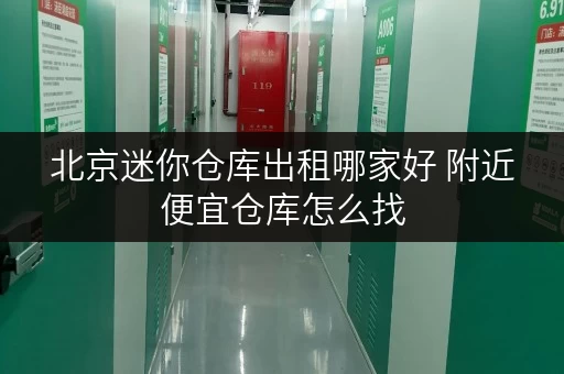 北京迷你仓库出租哪家好 附近便宜仓库怎么找