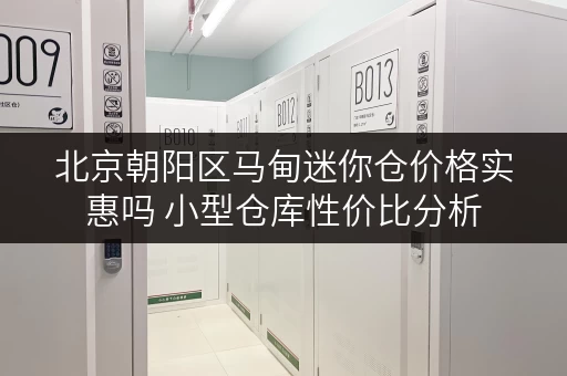 北京朝阳区马甸迷你仓价格实惠吗 小型仓库性价比分析