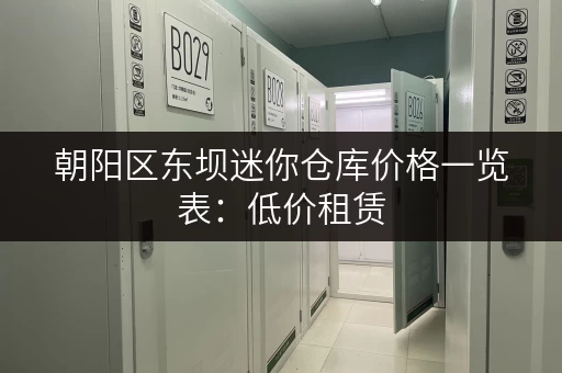 朝阳区东坝迷你仓库价格一览表：低价租赁，安全可靠！
