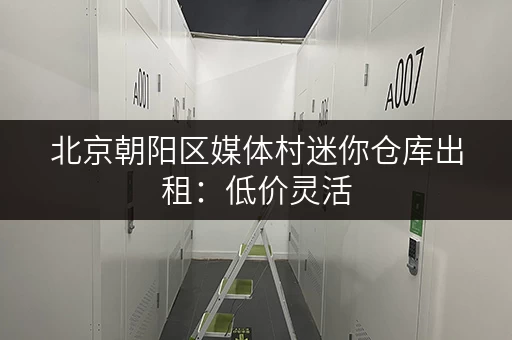 北京朝阳区媒体村迷你仓库出租：低价灵活，方便快捷