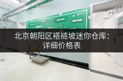 北京朝阳区褡裢坡迷你仓库：详细价格表，帮你找到合适仓库