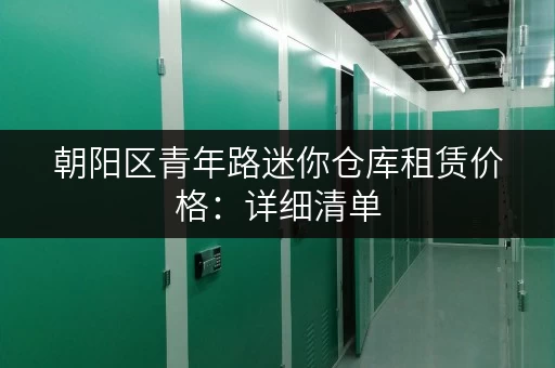 朝阳区青年路迷你仓库租赁价格：详细清单，一目了然