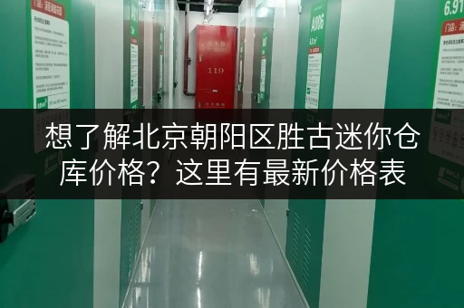 想了解北京朝阳区胜古迷你仓库价格？这里有最新价格表