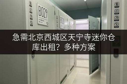 急需北京西城区天宁寺迷你仓库出租？多种方案，满足需求