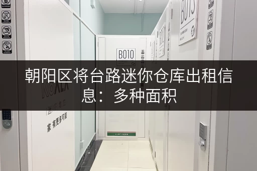 朝阳区将台路迷你仓库出租信息：多种面积，满足您的需求