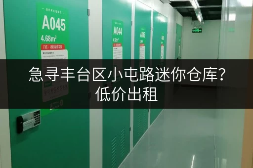 急寻丰台区小屯路迷你仓库？低价出租，多种选择