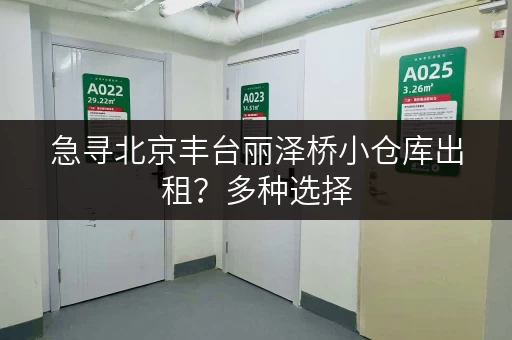 急寻北京丰台丽泽桥小仓库出租？多种选择，满足您的需求！