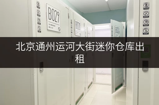 北京通州运河大街迷你仓库出租，价格表及仓库大小