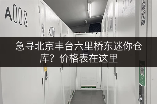 急寻北京丰台六里桥东迷你仓库？价格表在这里