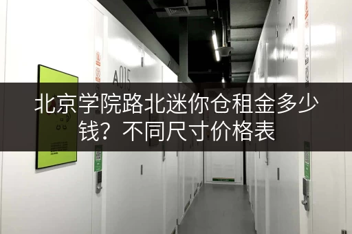 北京学院路北迷你仓租金多少钱？不同尺寸价格表