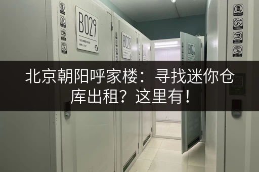 北京朝阳呼家楼：寻找迷你仓库出租？这里有！