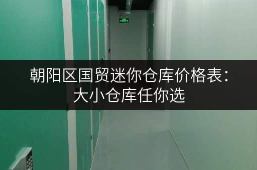 朝阳区国贸迷你仓库价格表：大小仓库任你选