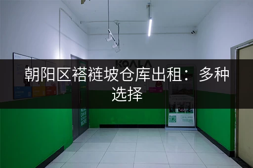 朝阳区褡裢坡仓库出租：多种选择，满足您的需求