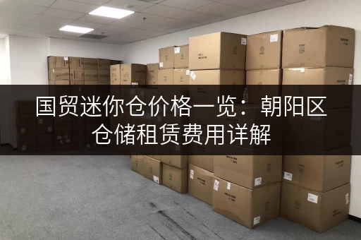 国贸迷你仓价格一览：朝阳区仓储租赁费用详解