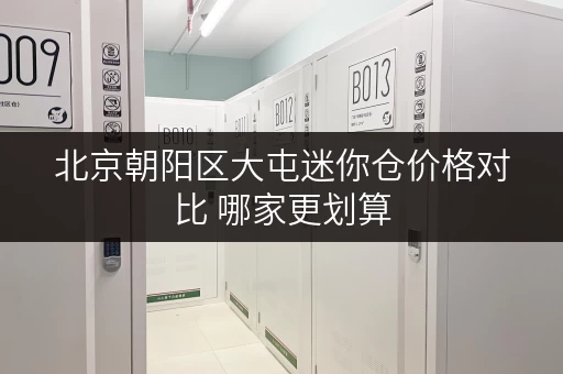 北京朝阳区大屯迷你仓价格对比 哪家更划算