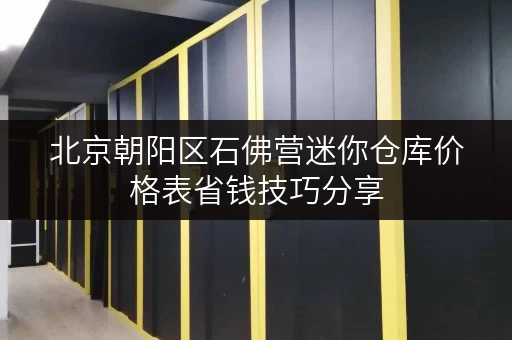 北京朝阳区石佛营迷你仓库价格表省钱技巧分享