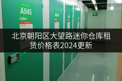 北京朝阳区大望路迷你仓库租赁价格表2024更新