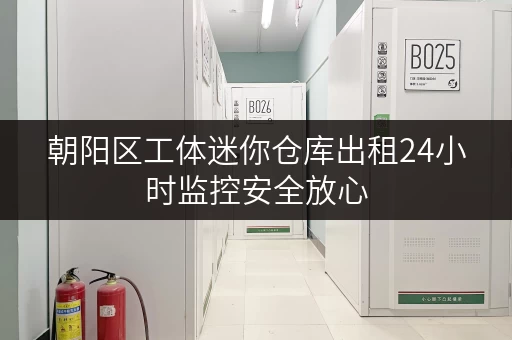 朝阳区工体迷你仓库出租24小时监控安全放心