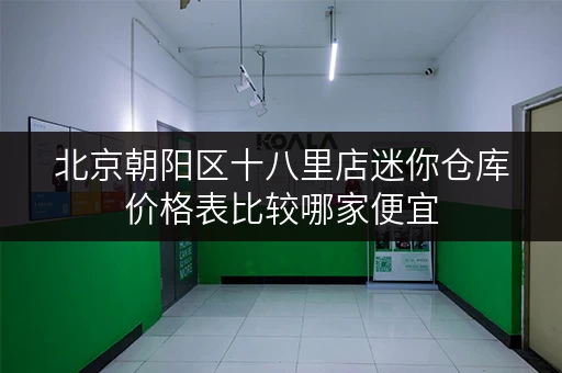 北京朝阳区十八里店迷你仓库价格表比较哪家便宜