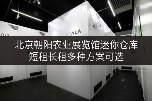 北京朝阳农业展览馆迷你仓库短租长租多种方案可选