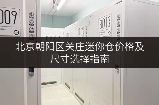 北京朝阳区关庄迷你仓价格及尺寸选择指南