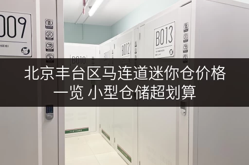 北京丰台区马连道迷你仓价格一览 小型仓储超划算