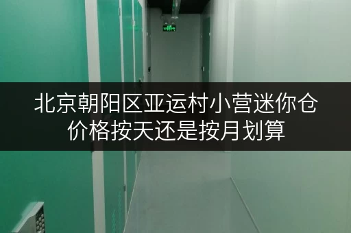 北京朝阳区亚运村小营迷你仓价格按天还是按月划算