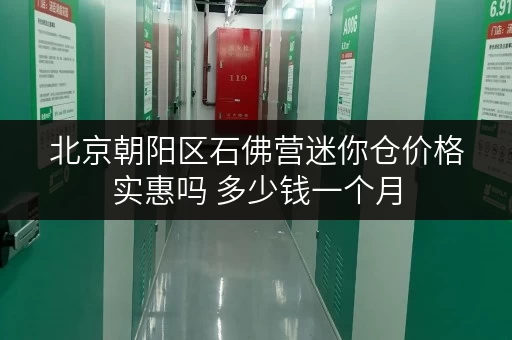 北京朝阳区石佛营迷你仓价格实惠吗 多少钱一个月