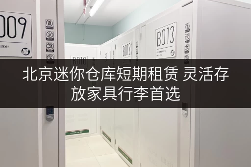 北京迷你仓库短期租赁 灵活存放家具行李首选