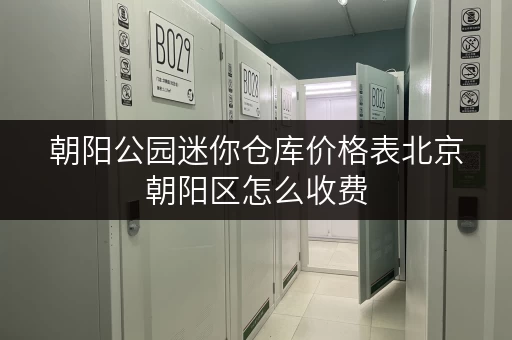 朝阳公园迷你仓库价格表北京朝阳区怎么收费